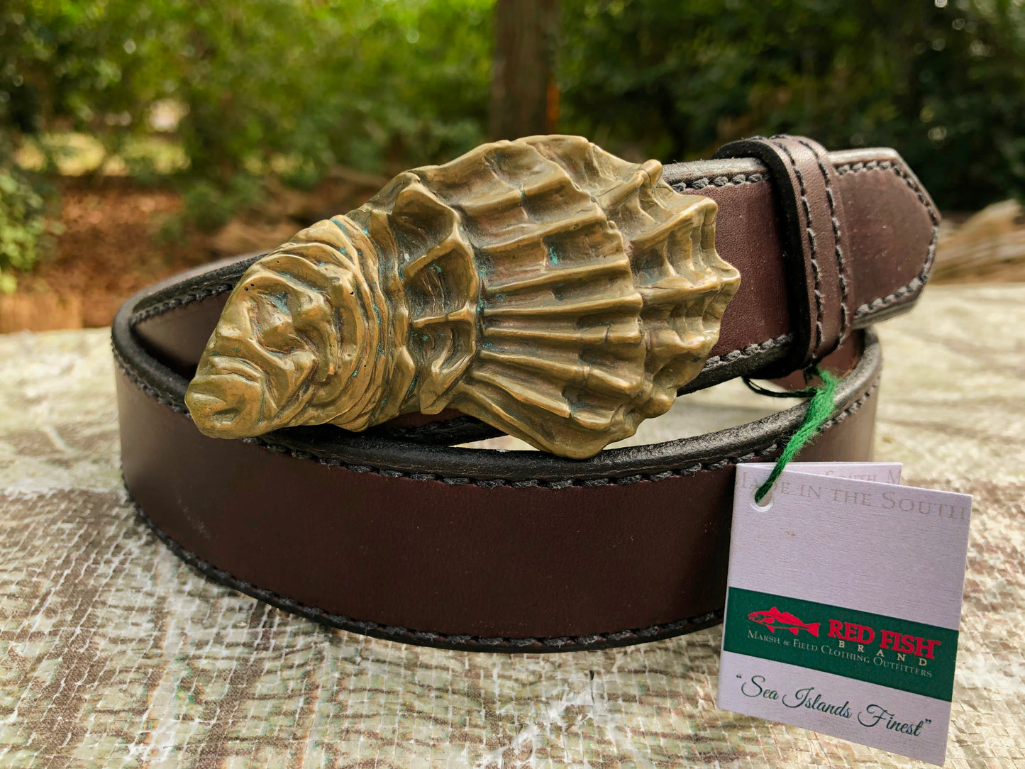 St Helena Oyster Shell Buckle